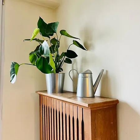 Blue Moon - Heweliusz, Old Town