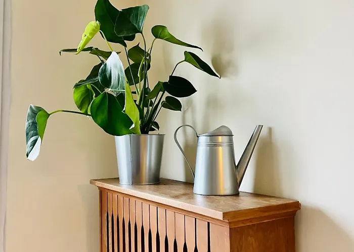 Blue Moon - Heweliusz, Old Town